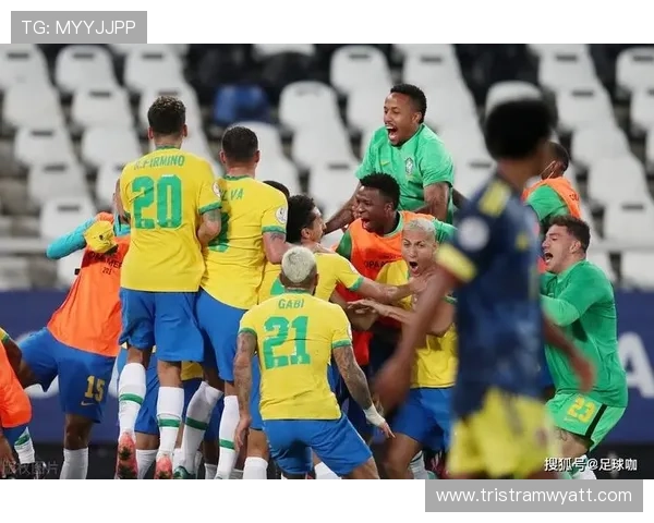 南美洲杯竞争态势：多队表现稳健，争冠格局持续提升